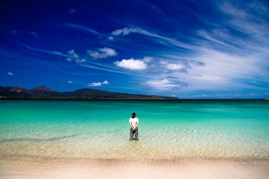 From Dreams to Destination